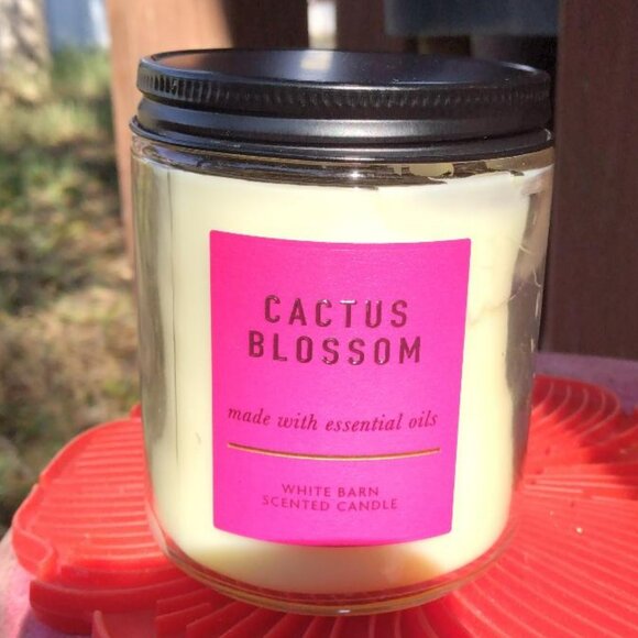 Cactus Blossom Scented Candle - Picture 1 of 2